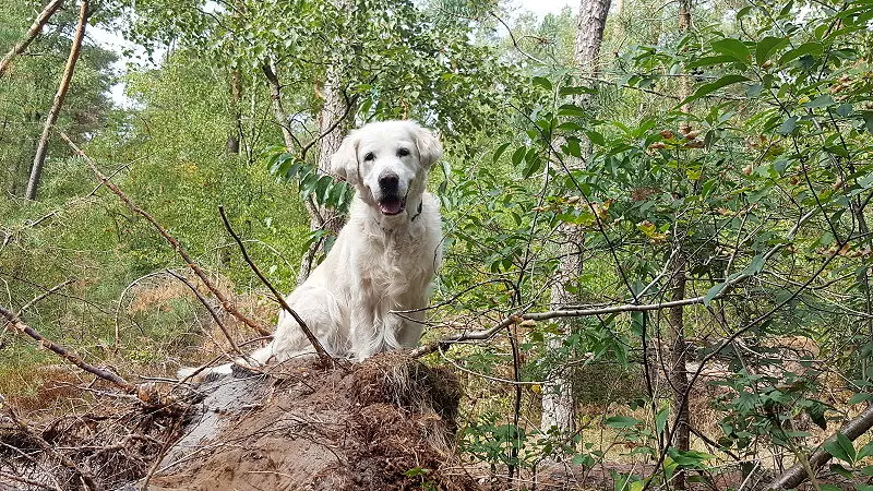 Condolence image of Nicole