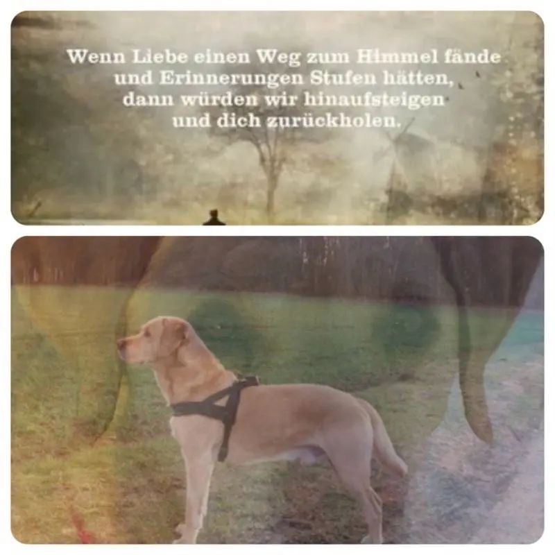 Condolence image of Annette