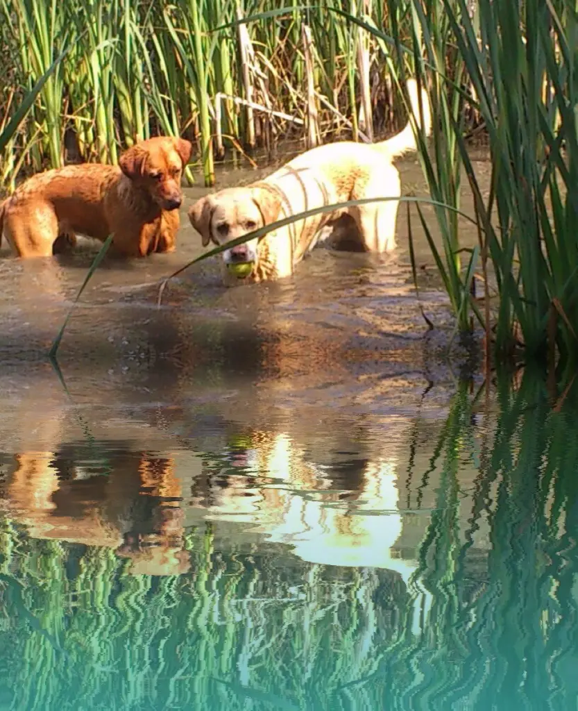 Condolence image of Annette