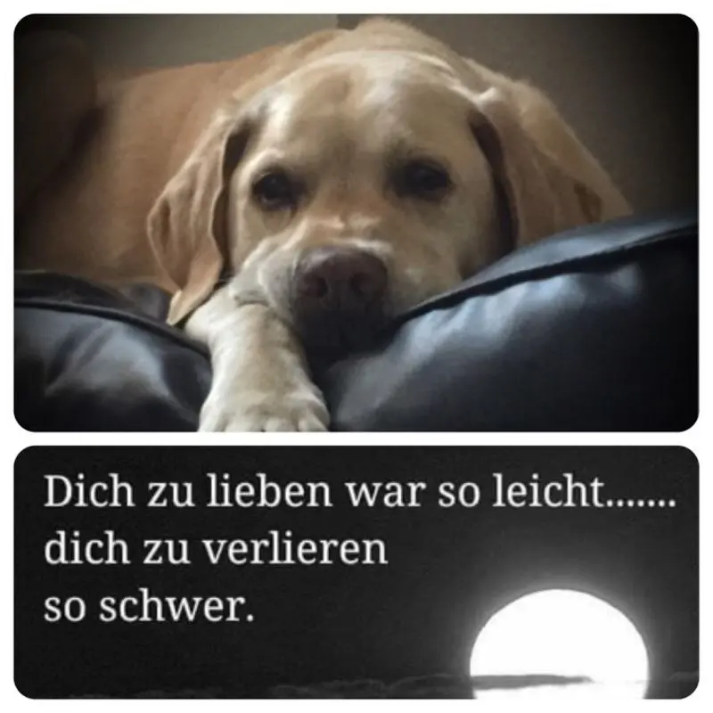 Image from Balouchen 