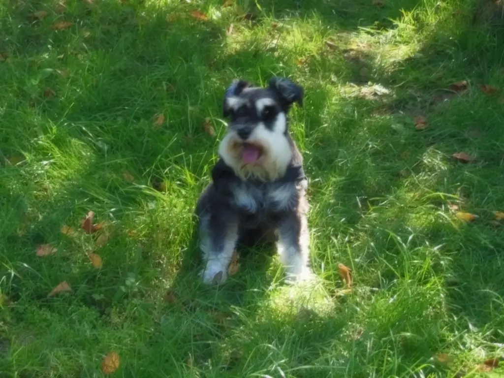 Andachtsbild von ♥ In Liebe