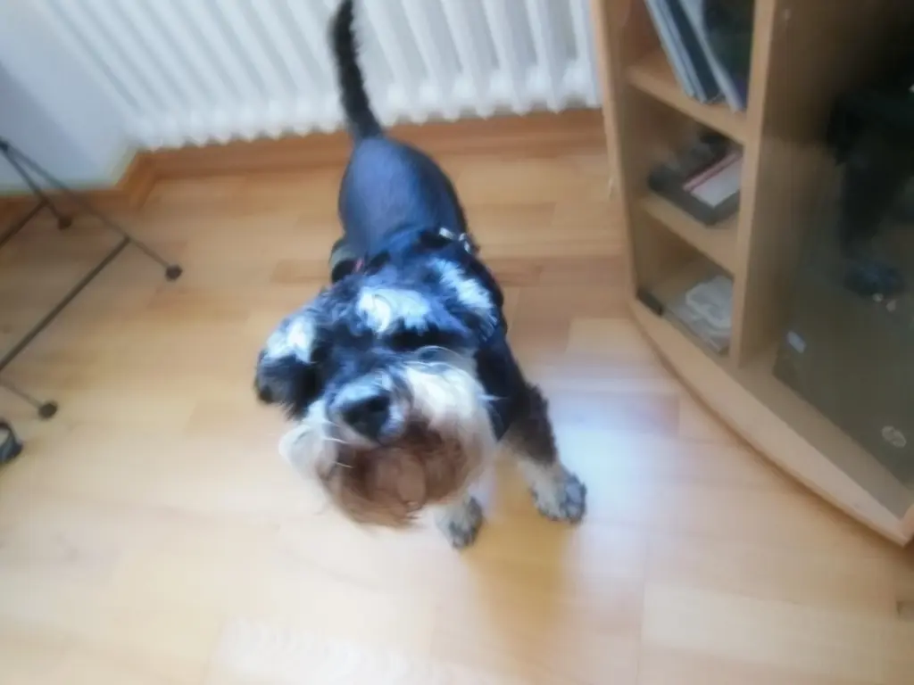 Andachtsbild von Iris und Werner