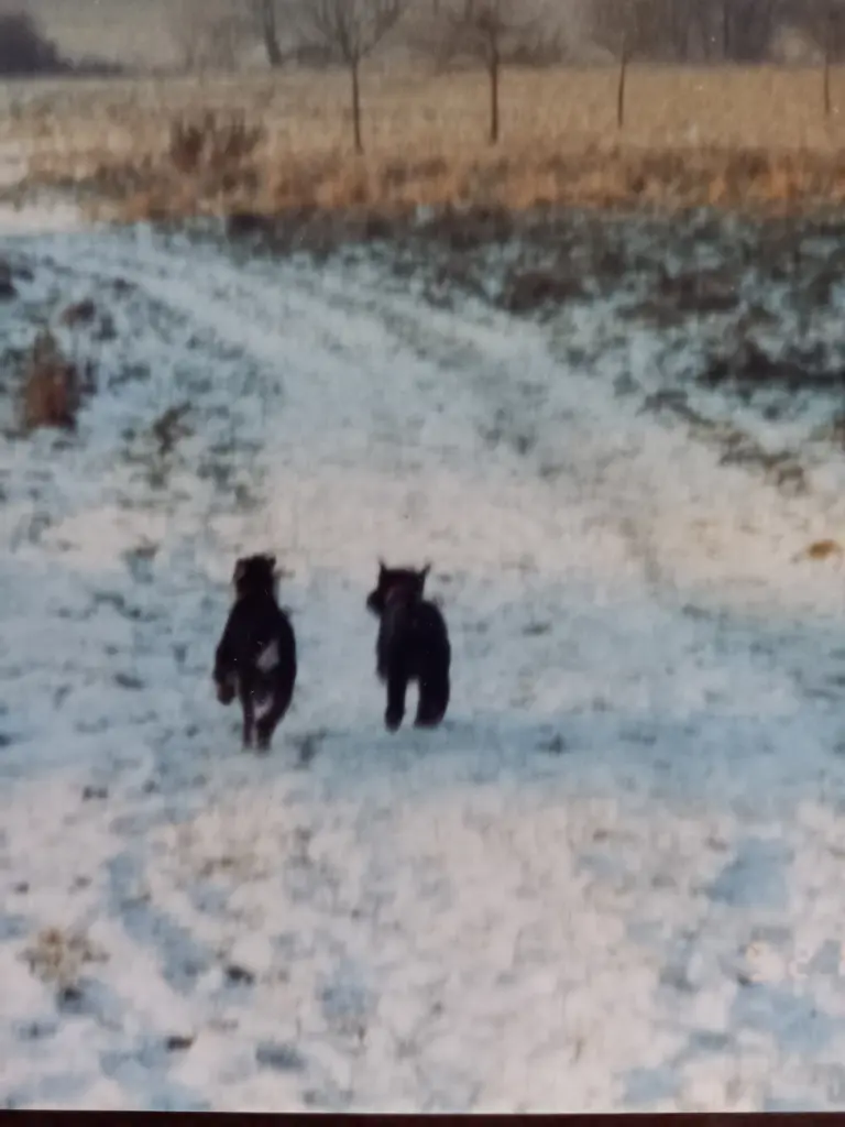 Andachtsbild von ♥ 