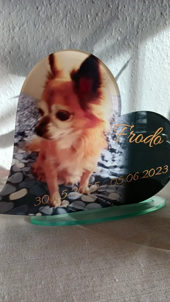 Andachtsbild von Angelika mit Frodo im Herzen ❤️ ❤️ ❤️