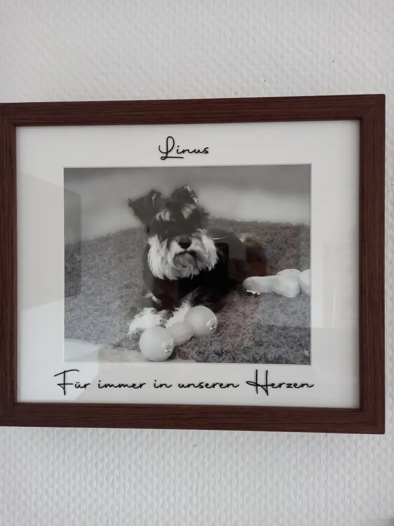 Andachtsbild von Iris