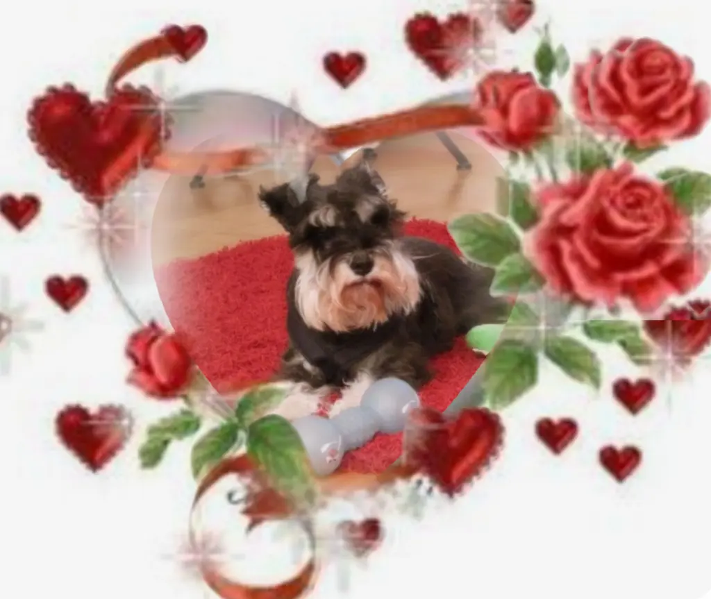 Andachtsbild von Ewa & Krzysztof mit Jacki tief im Herzen❤️ 