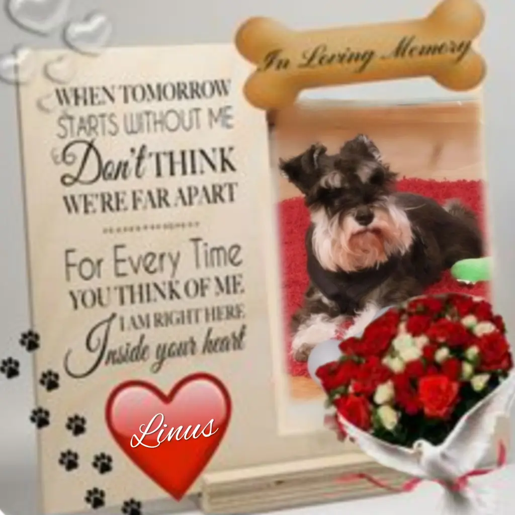 Andachtsbild von ❤️to❤️