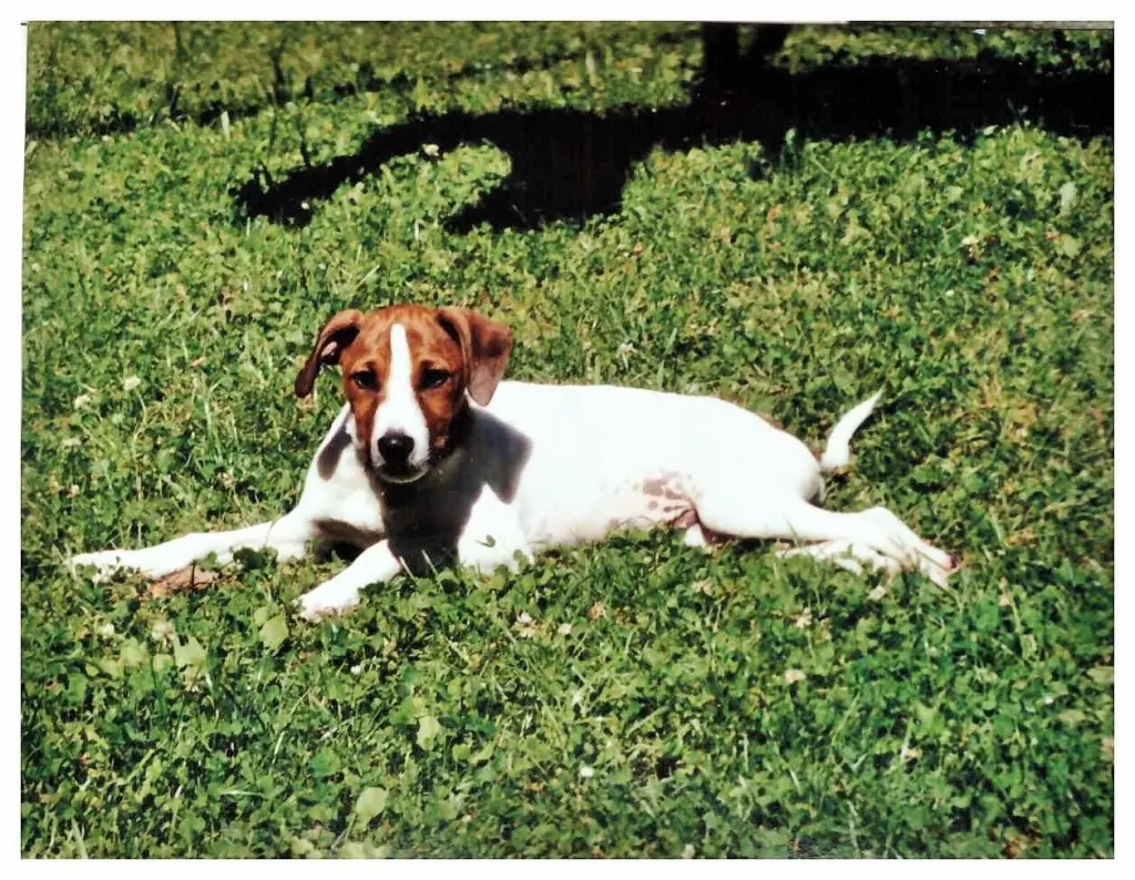 Andachtsbild von Paul