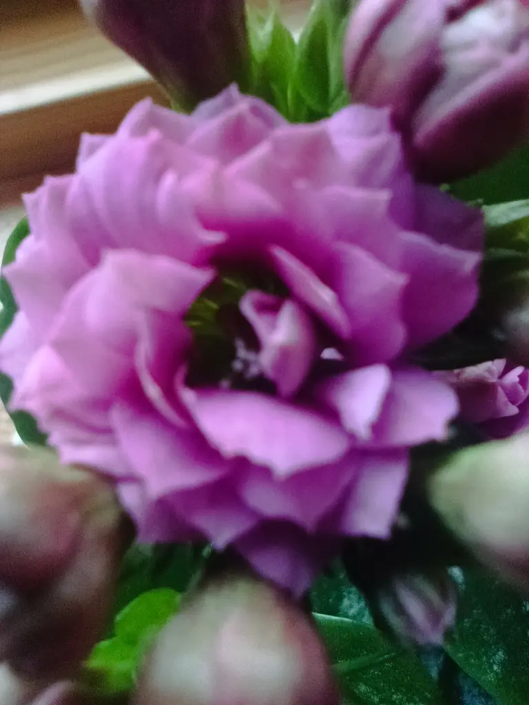 Andachtsbild von Claudia mit Skylar ganz tief im Herzen ❤️