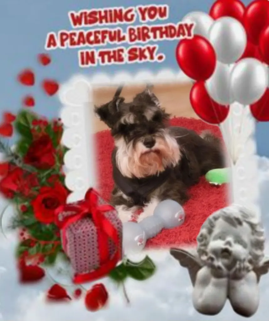 Andachtsbild von ♥️Happy Birthday Linus♥️