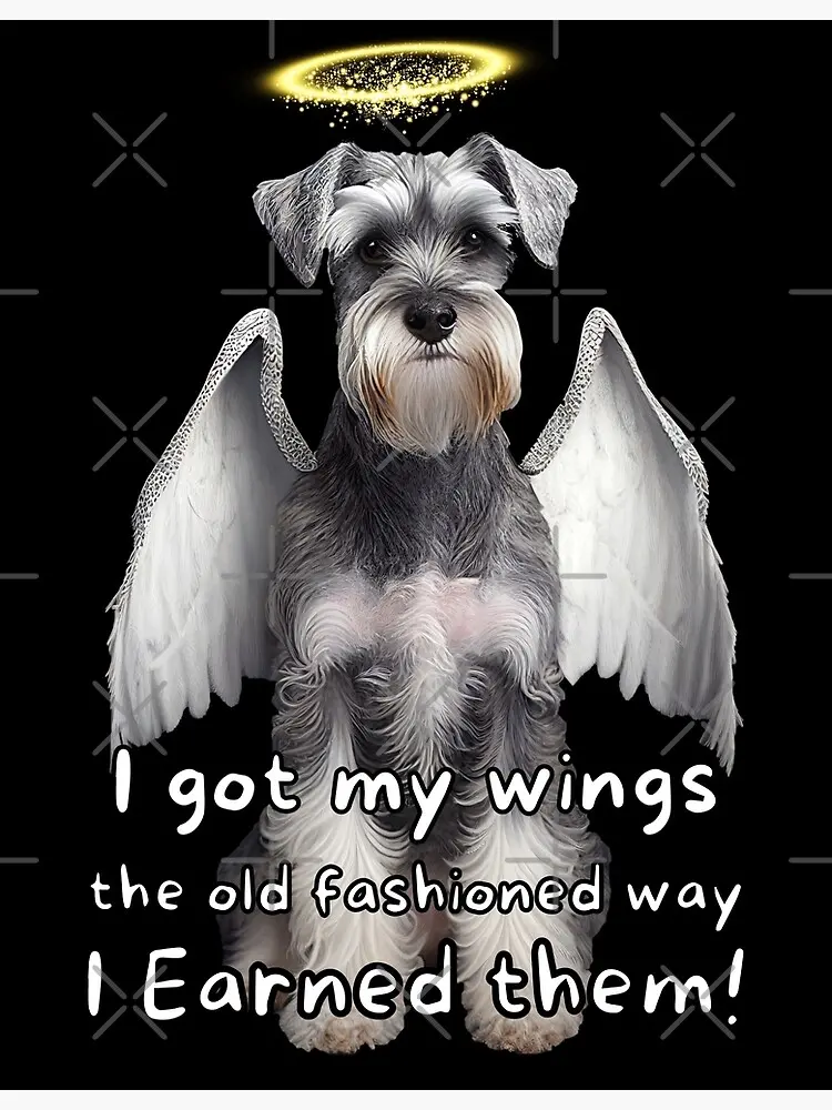 Andachtsbild von Iris 