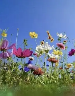 Andachtsbild von Christiane 