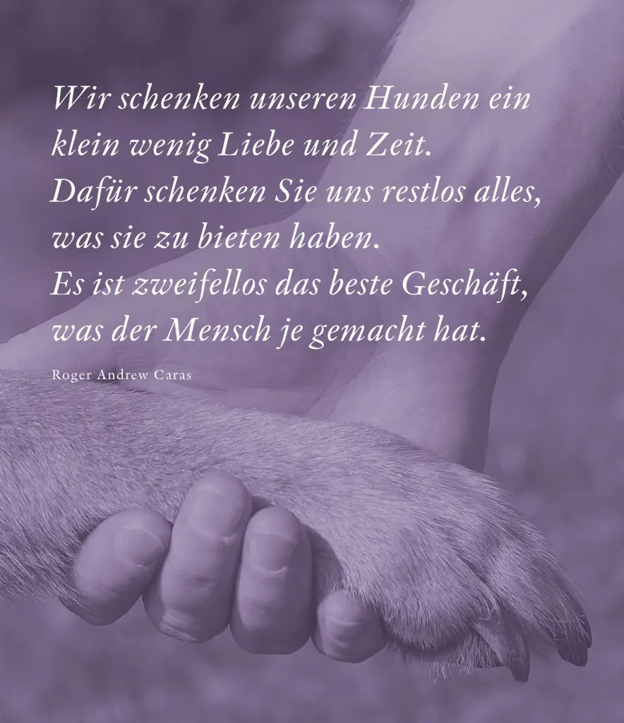 Andachtsbild von Iris 