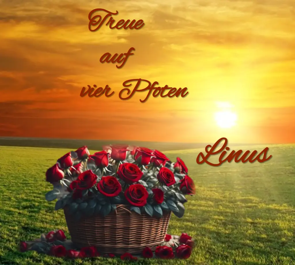 Andachtsbild von Gaby mit Snowy ❤️