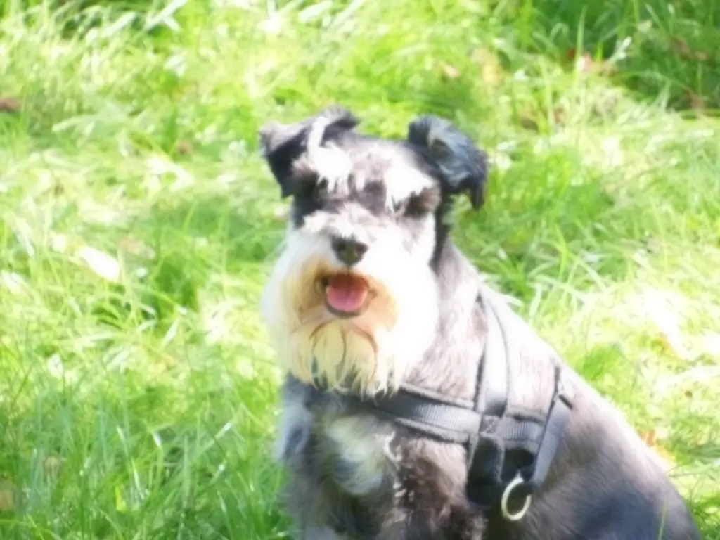 Andachtsbild von Iris und Werner 