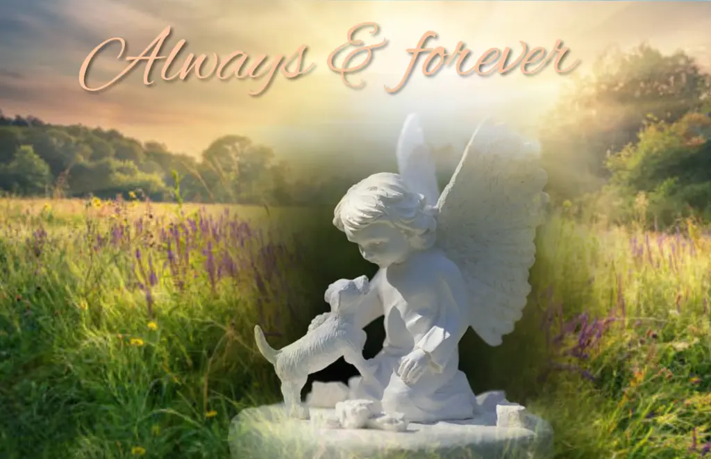 Andachtsbild von Gaby mit Snowy ❤️