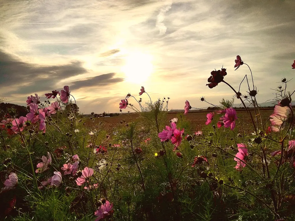 Andachtsbild von Gaby mit Snowy ❤️
