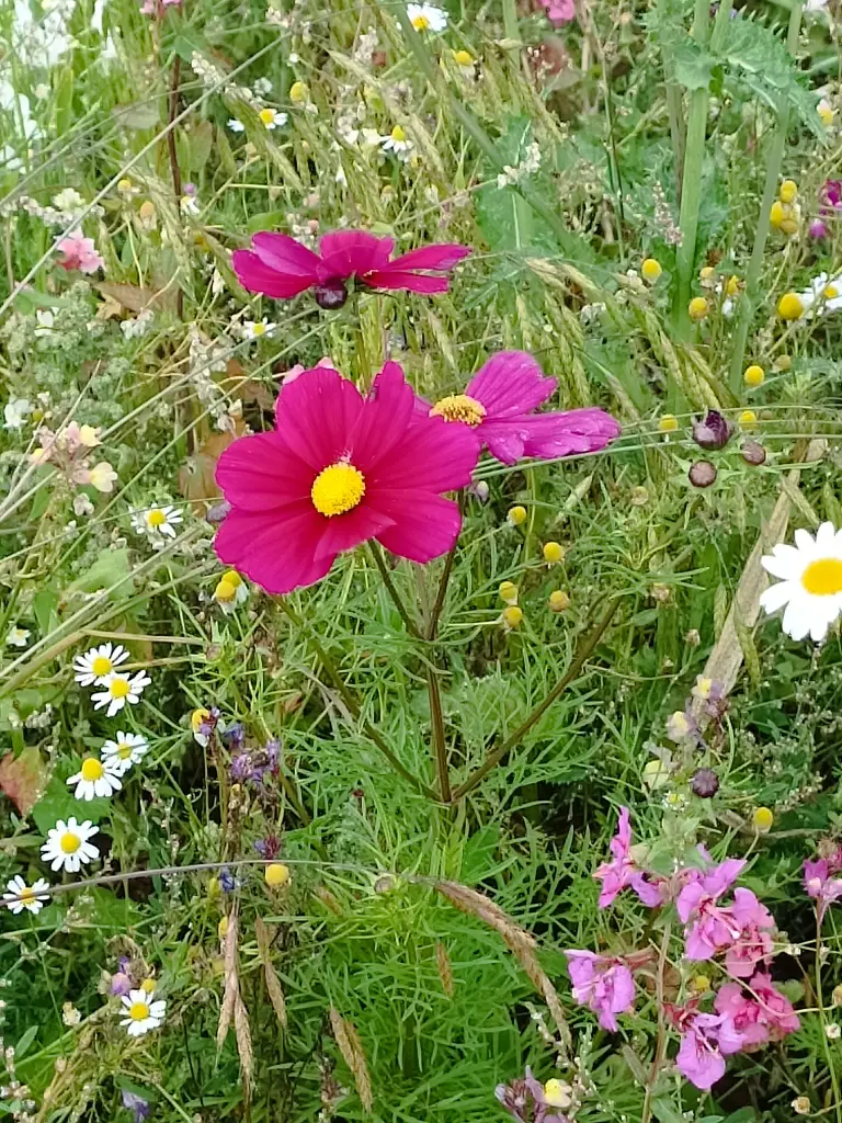 Andachtsbild von Claudia mit Skylar ganz tief im Herzen ❤️