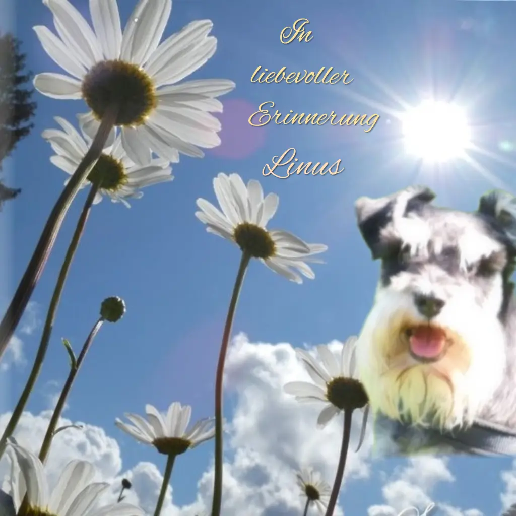 Andachtsbild von Gaby mit Snowy ❤️