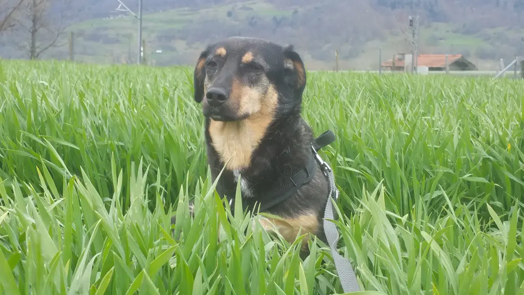 Andachtsbild von Konni mit Mayte ganz tief im Herzen ❤️