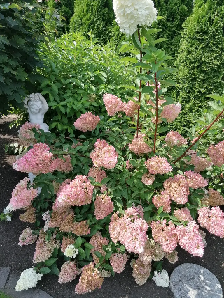 Andachtsbild von Gaby mit Snowy im Herzen