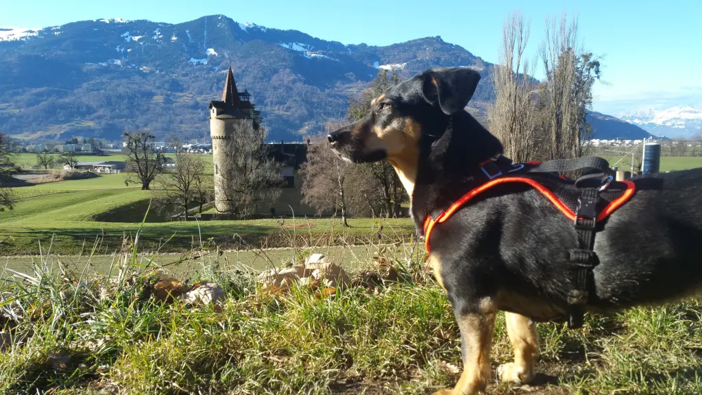 Andachtsbild von Konni mit Mayte ganz tief im Herzen ❤️