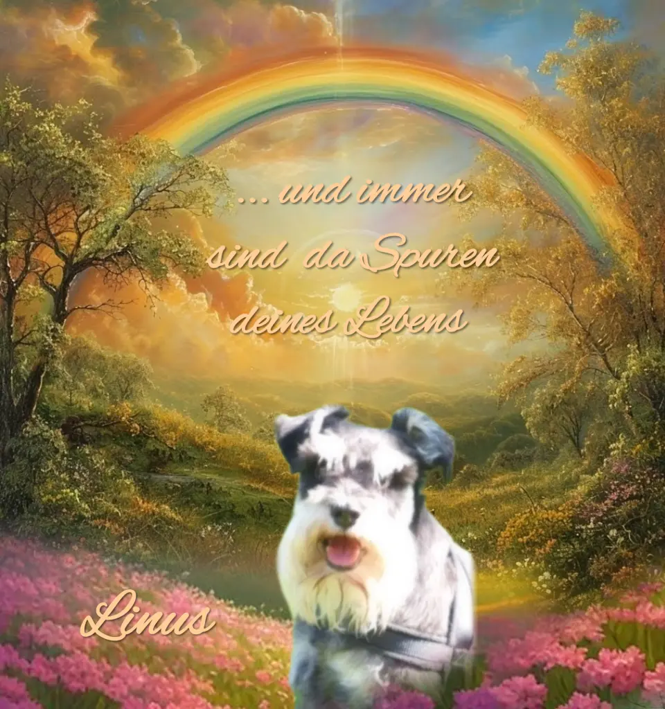 Andachtsbild von Immer im Herzen ❤️