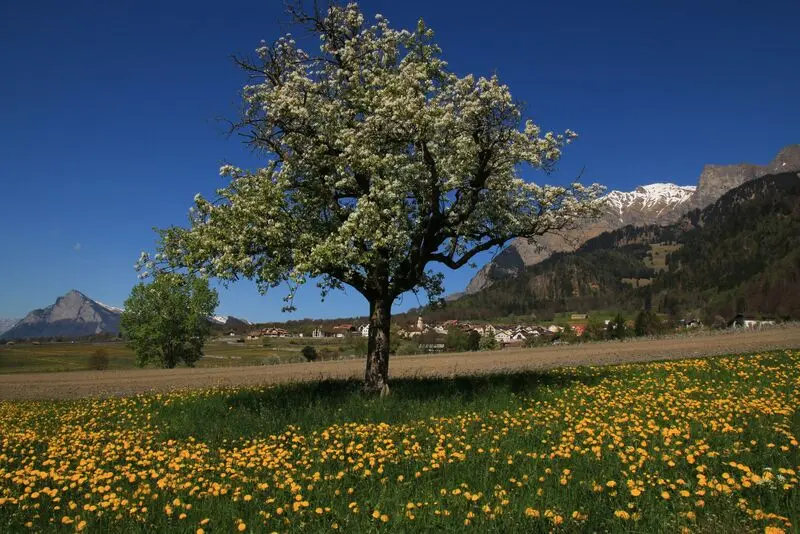Andachtsbild von Konni mit Mayte ganz tief im Herzen ❤️