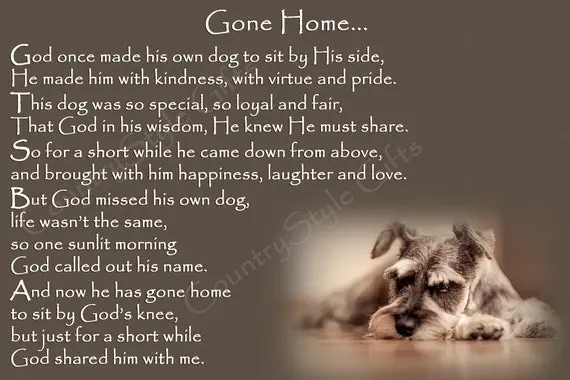 Andachtsbild von Iris 