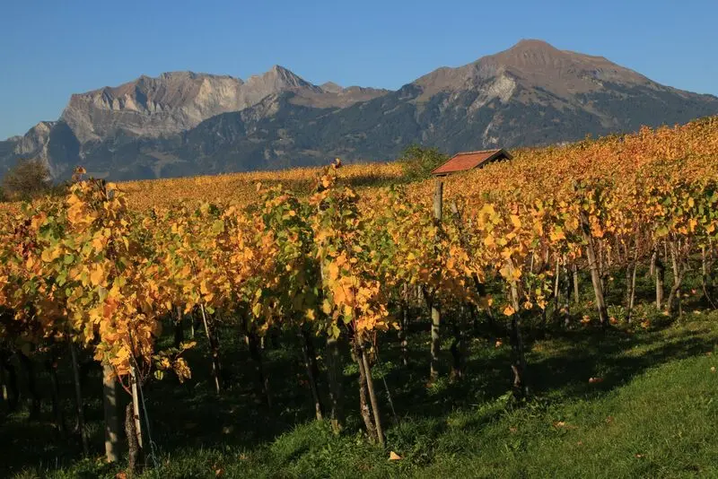 Andachtsbild von Konni mit Mayte ganz tief im Herzen ❤️