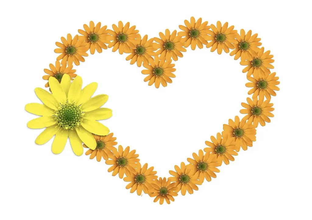 Andachtsbild von Christiane mit Eyk tief im ♥️