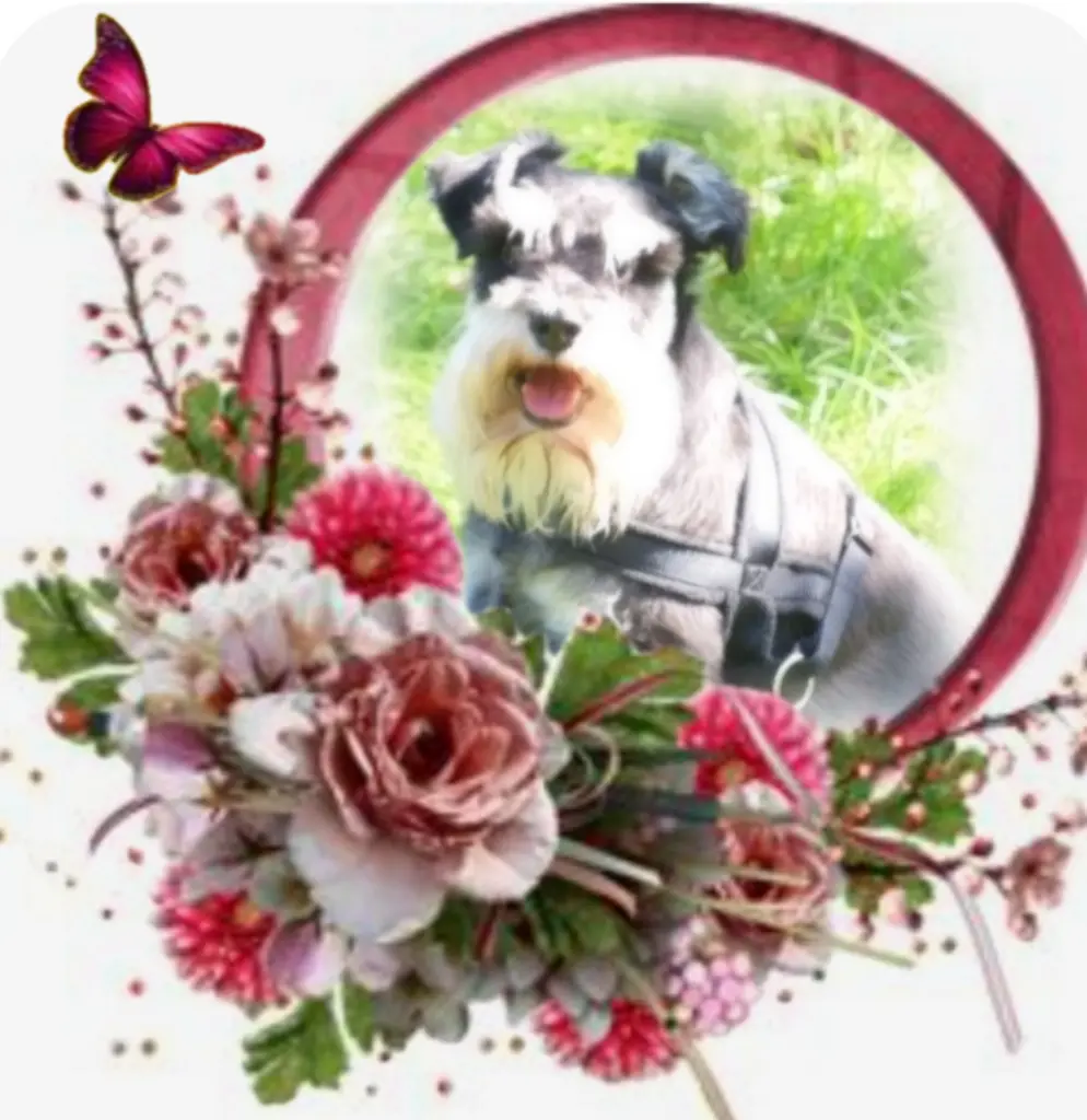 Andachtsbild von Linus♥️ geliebt♥️ und unvergessen♥️