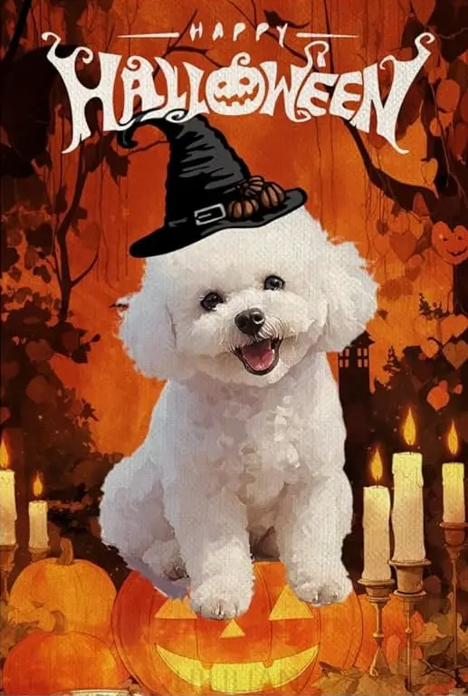 Andachtsbild von Snowy ♡