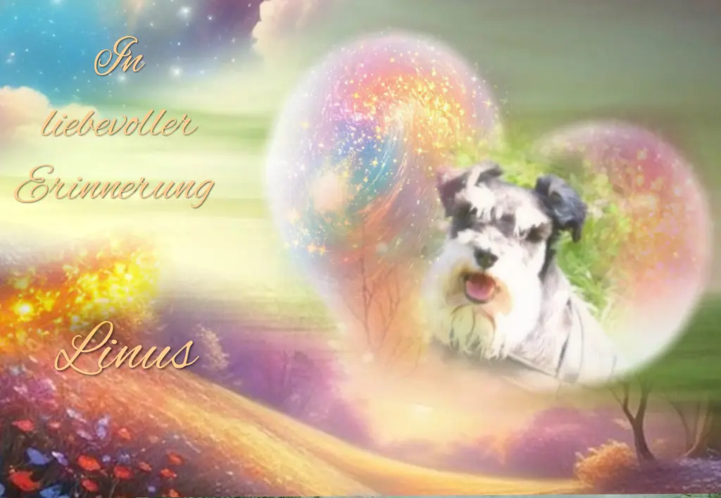 Andachtsbild von Dem Herzen ewig nah ❤️