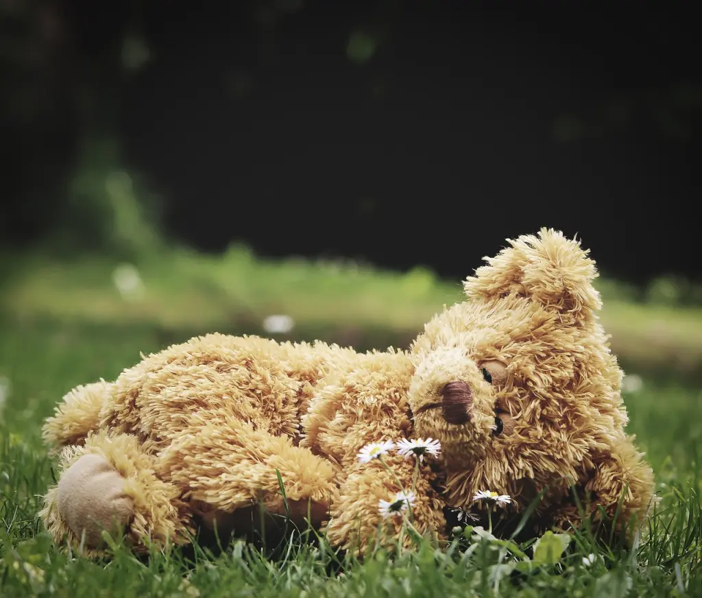 Andachtsbild von Iris