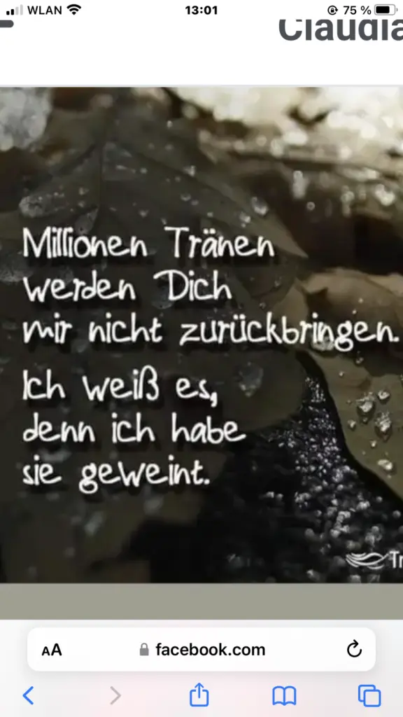 Andachtsbild von Iris