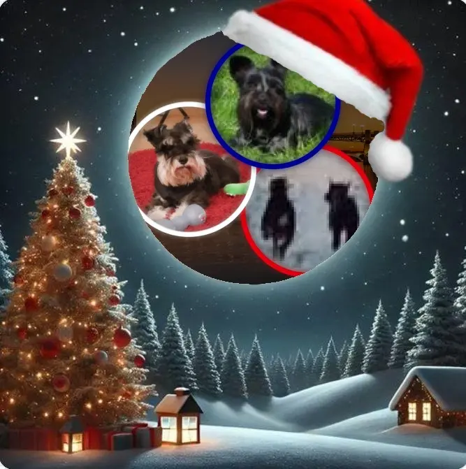 Andachtsbild von Gute Nacht❤️❤️❤️Mauschen❤️❤️❤️