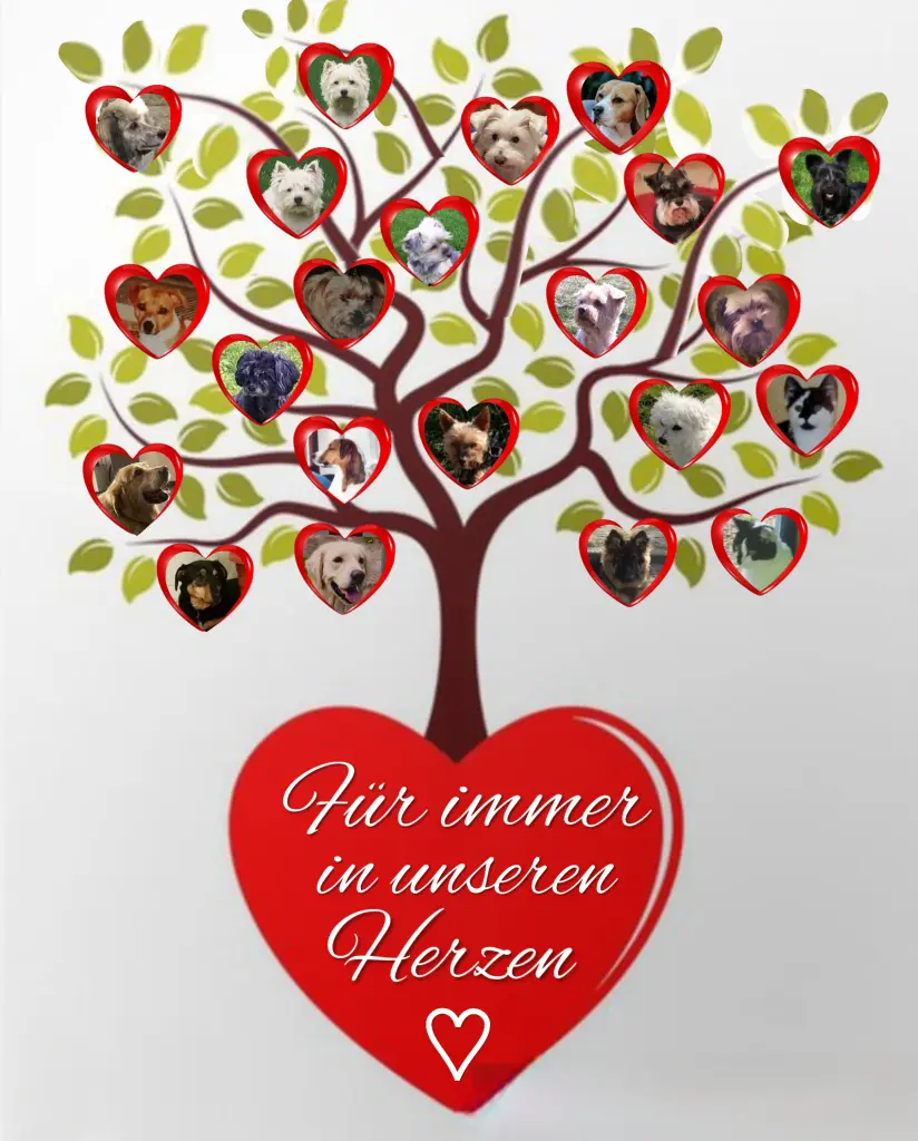 Andachtsbild von ♥️♥️