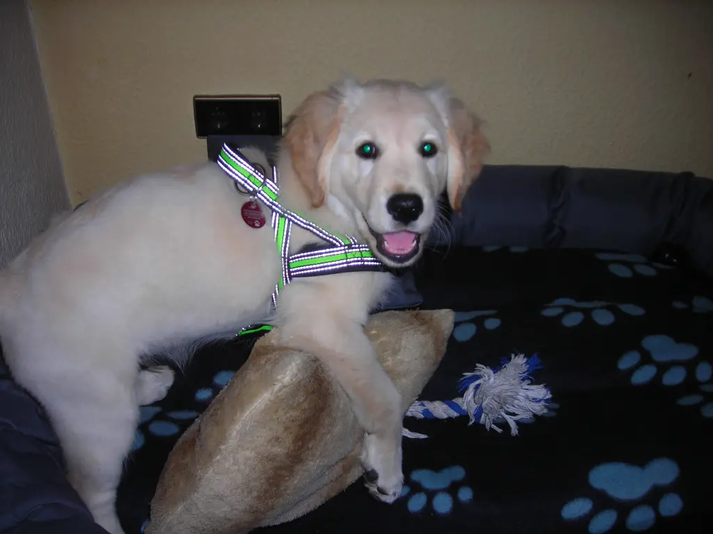 Andachtsbild von Peter & Christa