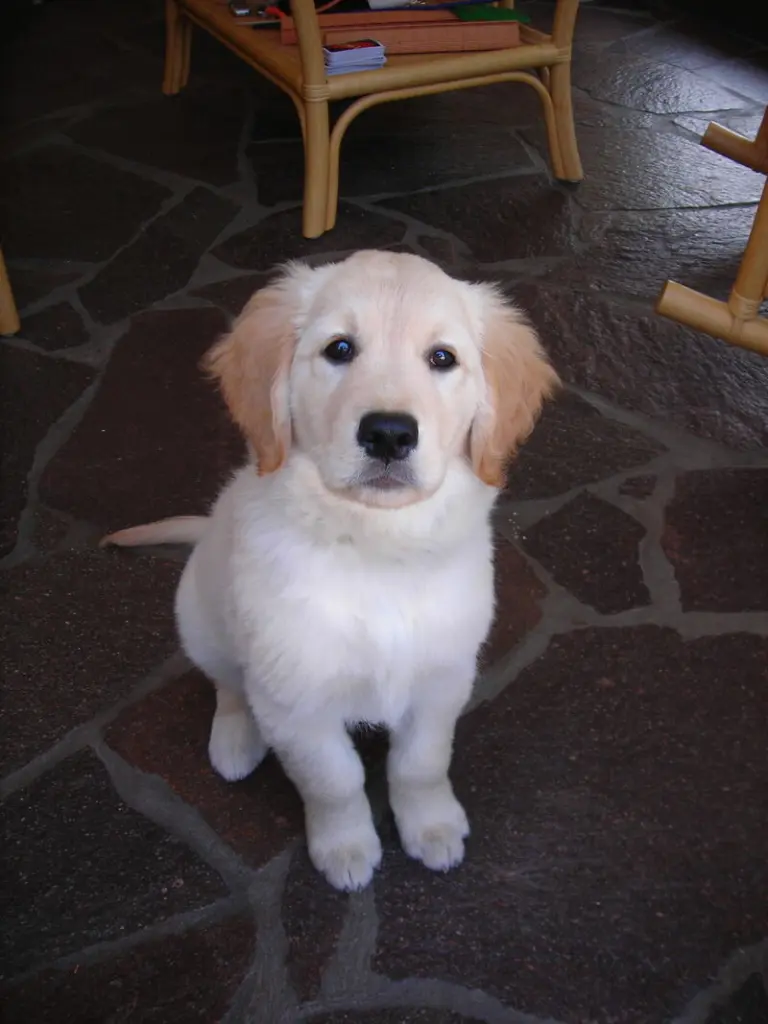 Andachtsbild von Peter & Christa 