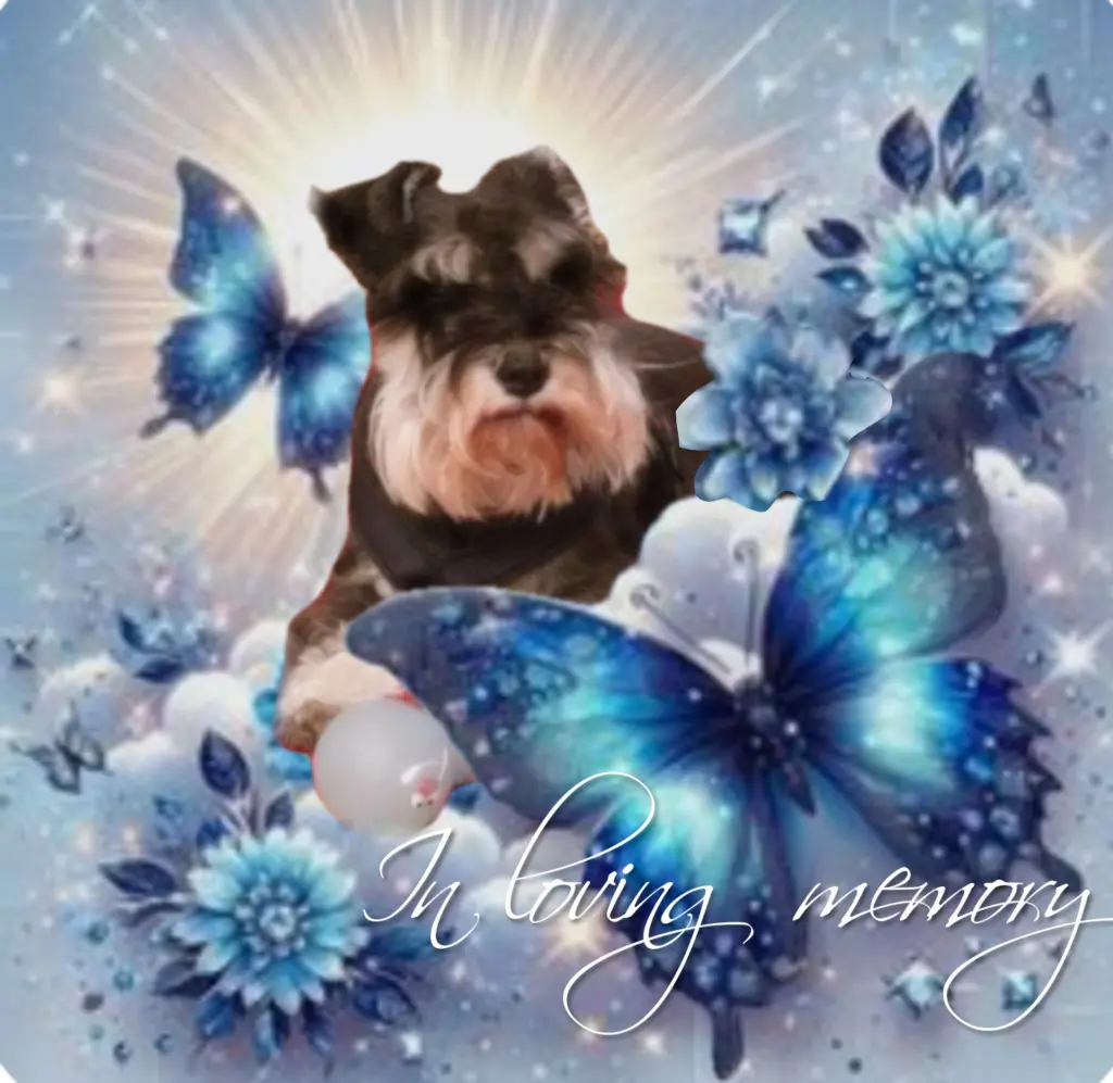 Andachtsbild von Linus♥️ geliebt♥️ und unvergessen♥️ 