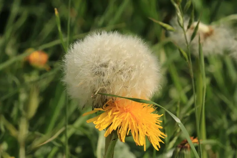 Andachtsbild von ღ꧁ღ╭⊱༺❤️ ❤️༻ ⊱╮ღ꧂ღ