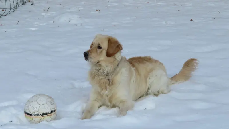 Andachtsbild von Peter & Christa