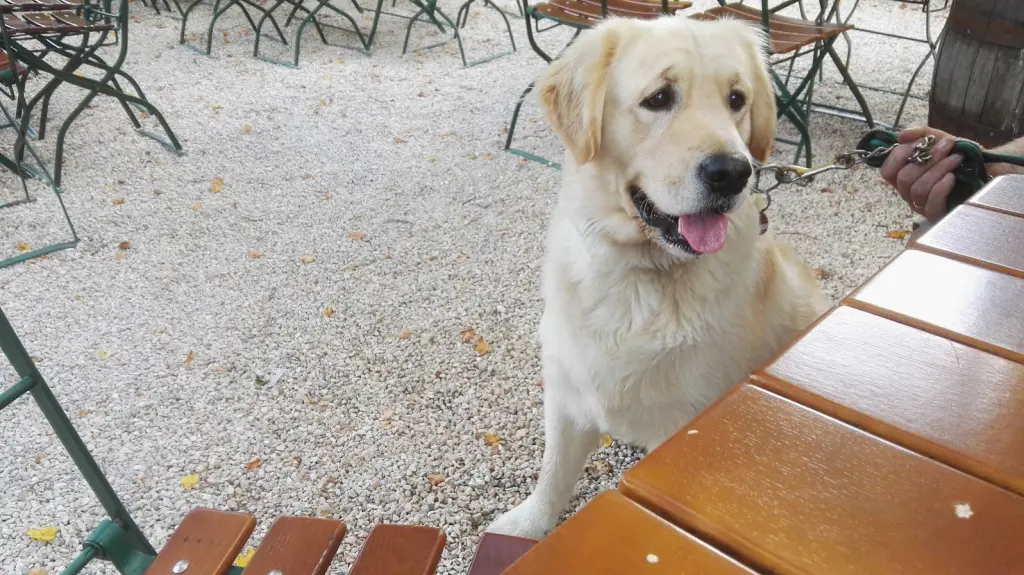 Andachtsbild von Monti f Linus & Eliot