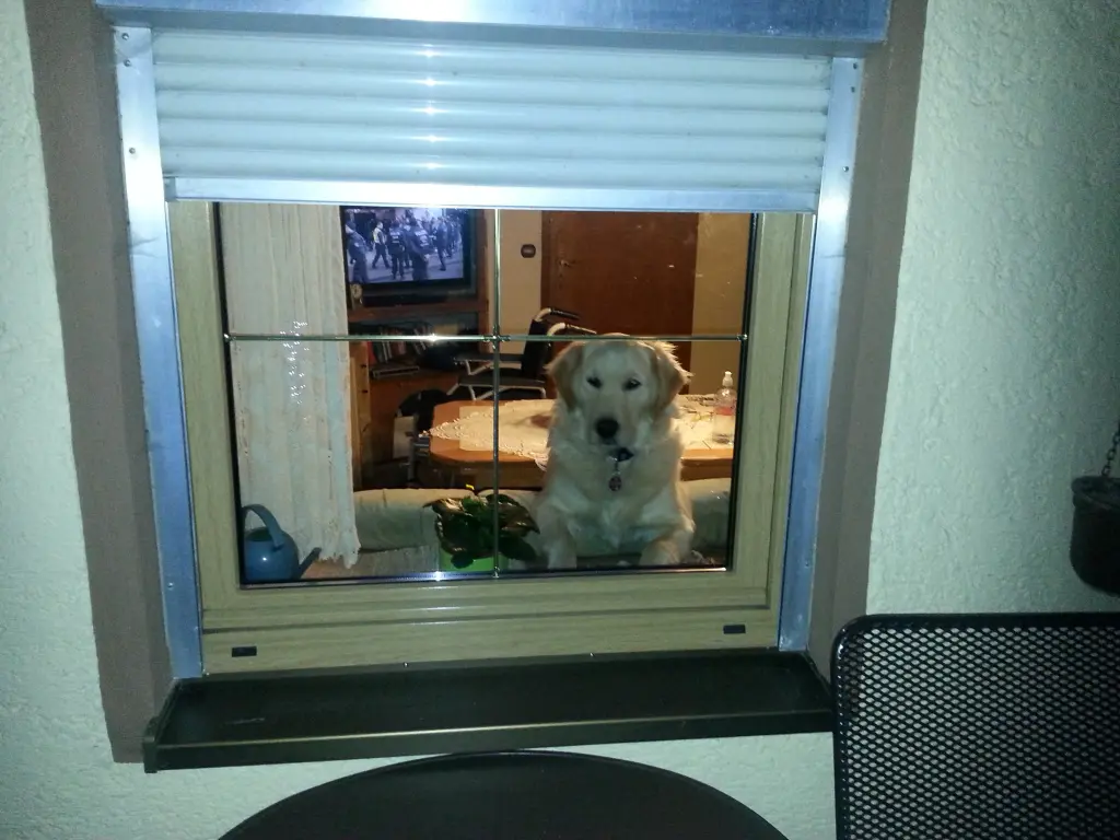 Andachtsbild von Peter Christa