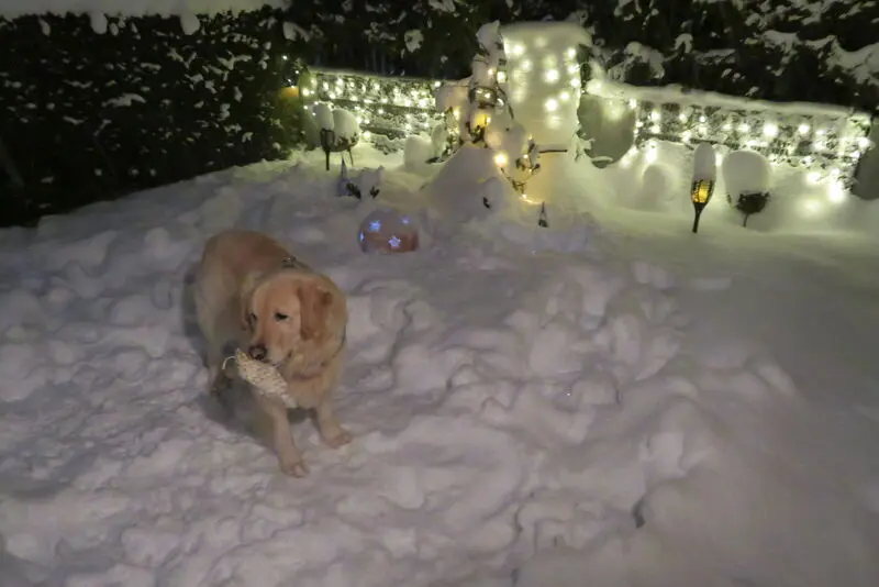 Andachtsbild von Peter & Christa