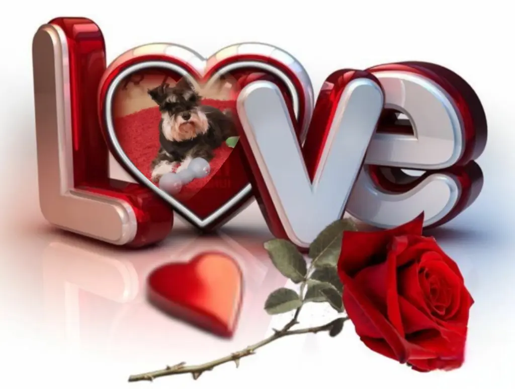 Andachtsbild von Linus♥️ geliebt♥️ und unvergessen♥️ 