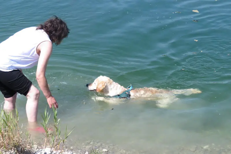 Andachtsbild von Peter & Christa