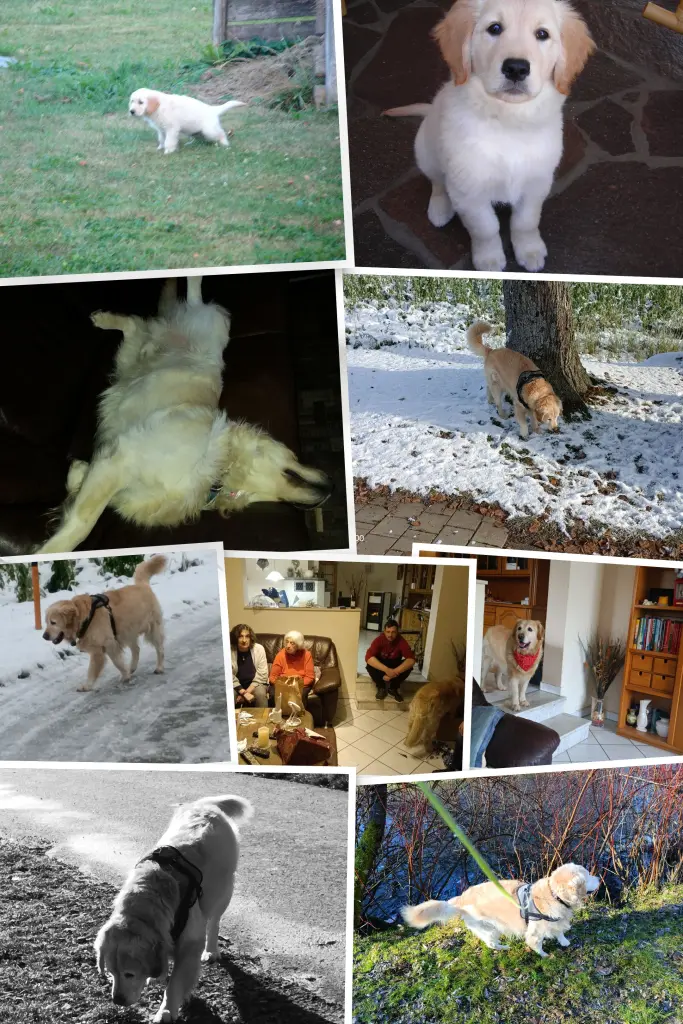 Andachtsbild von Peter & Christa 