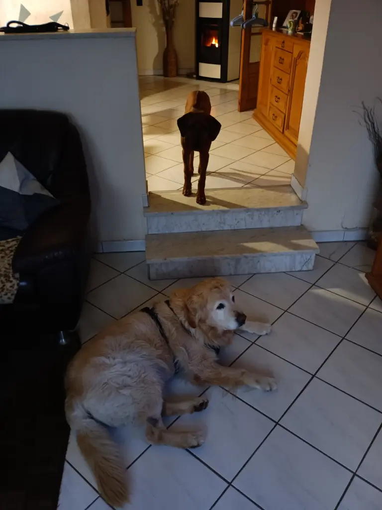 Andachtsbild von Peter